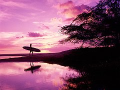 Maui Surfer, Hawaii